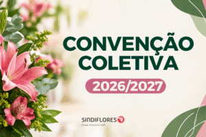 Noticia