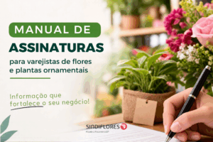 Noticia